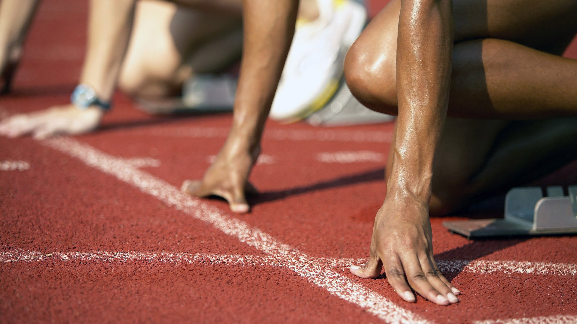 自由泳名将破纪录夺冠，世界泳坛再掀波澜