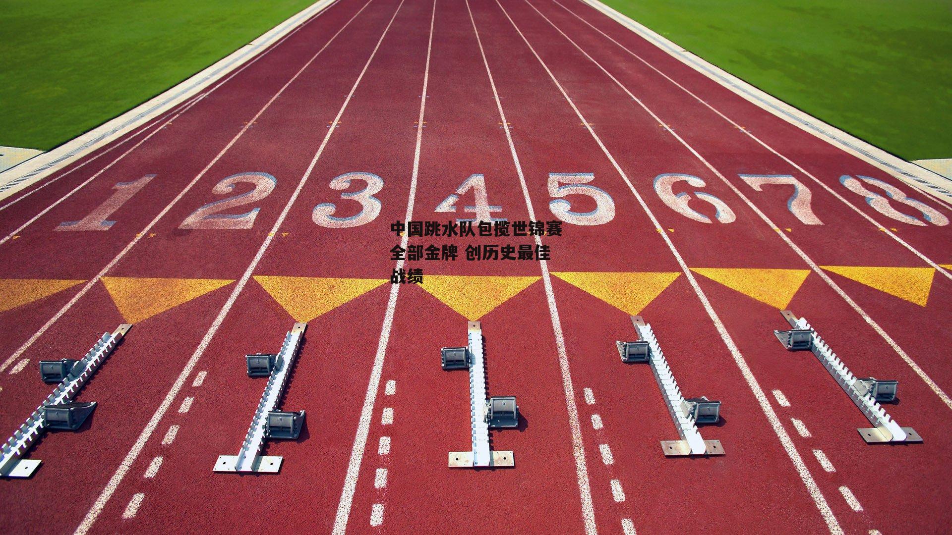 中国跳水队包揽世锦赛全部金牌 创历史最佳战绩