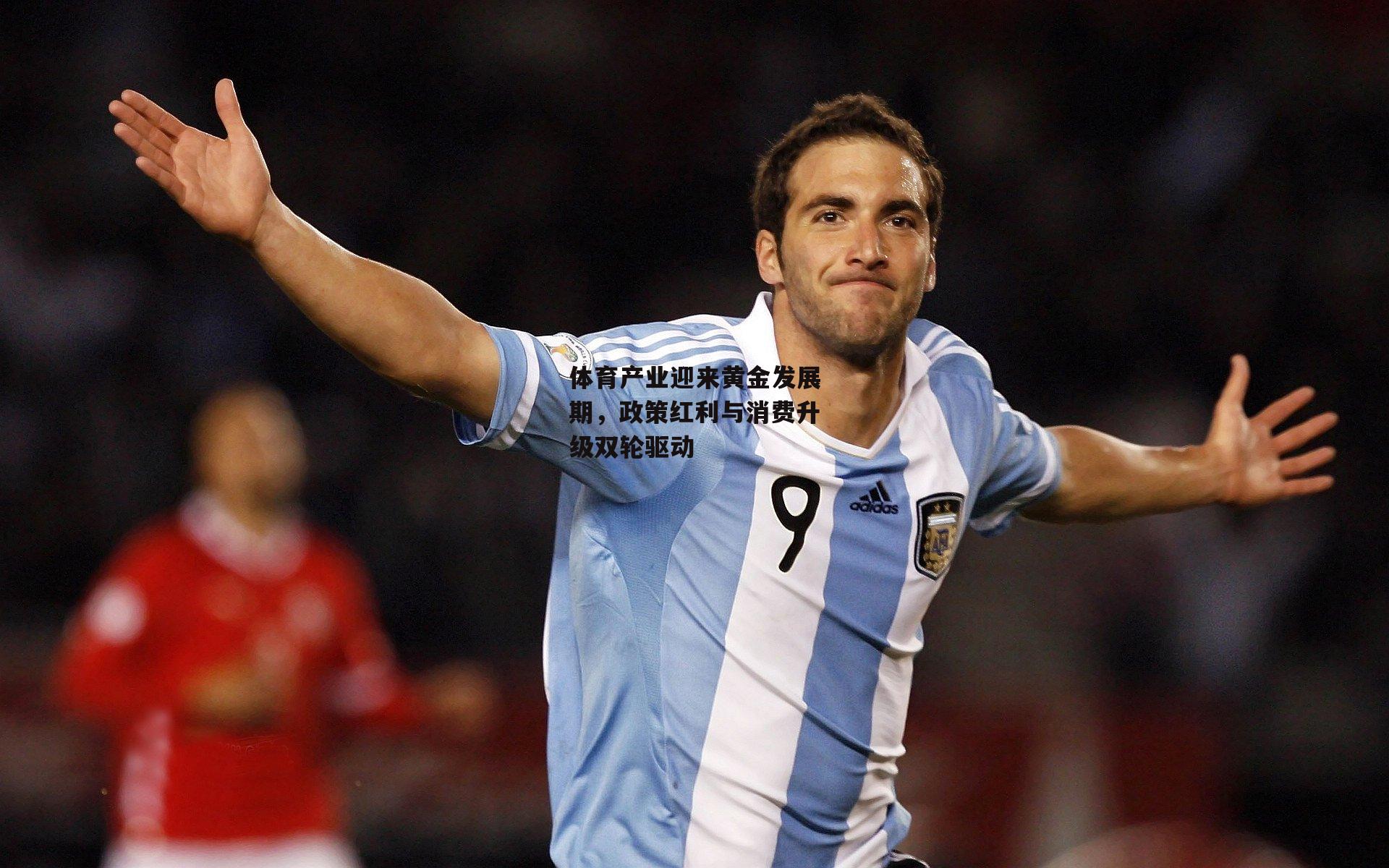 体育产业迎来黄金发展期，政策红利与消费升级双轮驱动