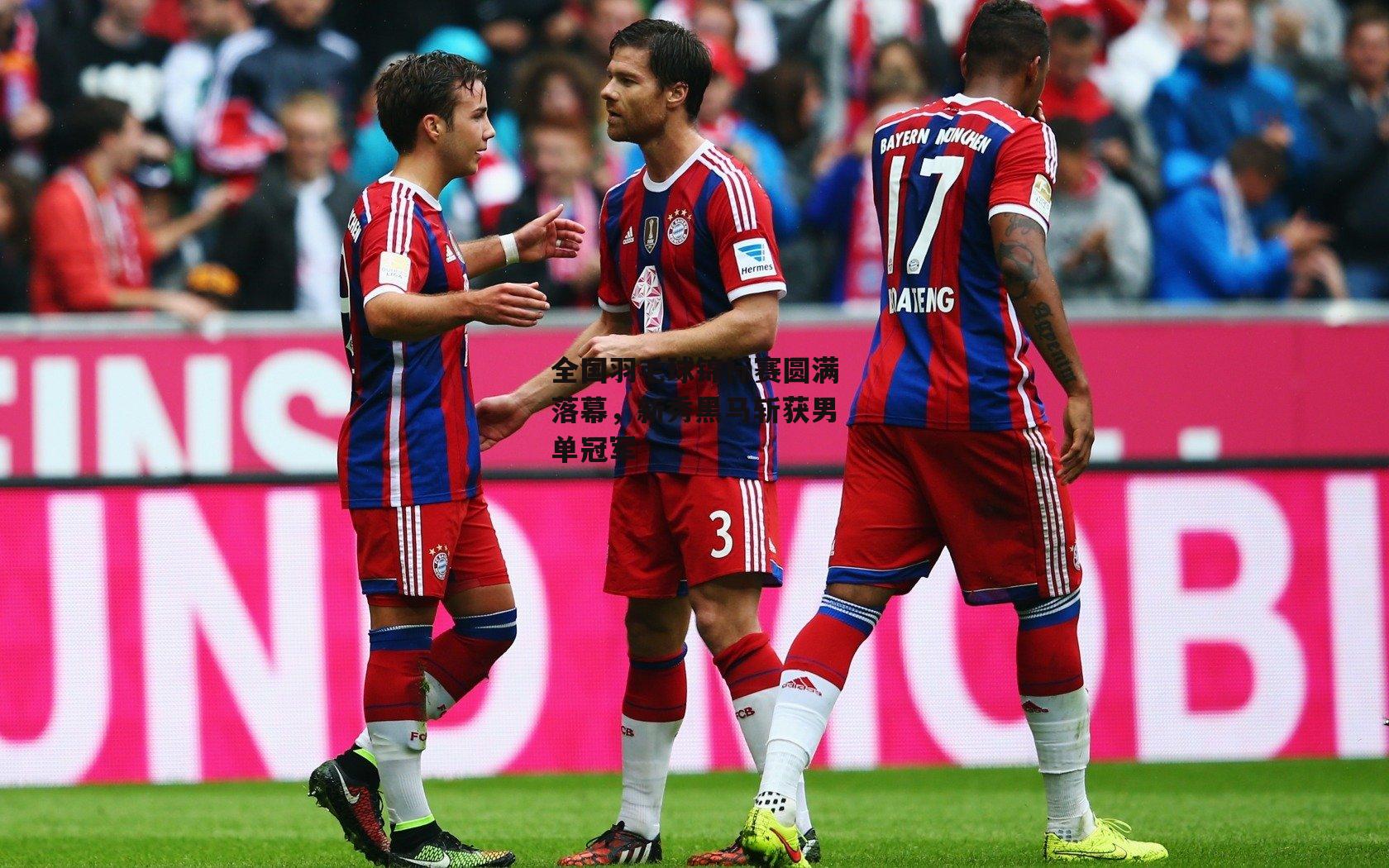 全国羽毛球锦标赛圆满落幕，新秀黑马斩获男单冠军